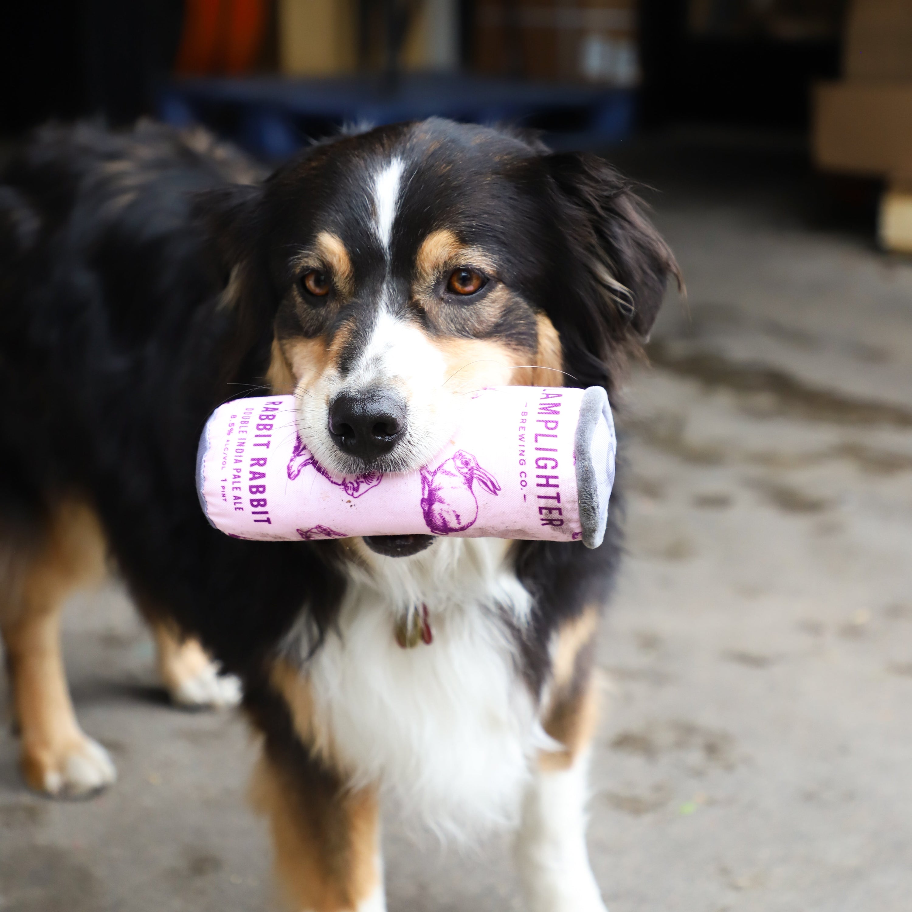 Rabbit Rabbit Dog Chew Toy