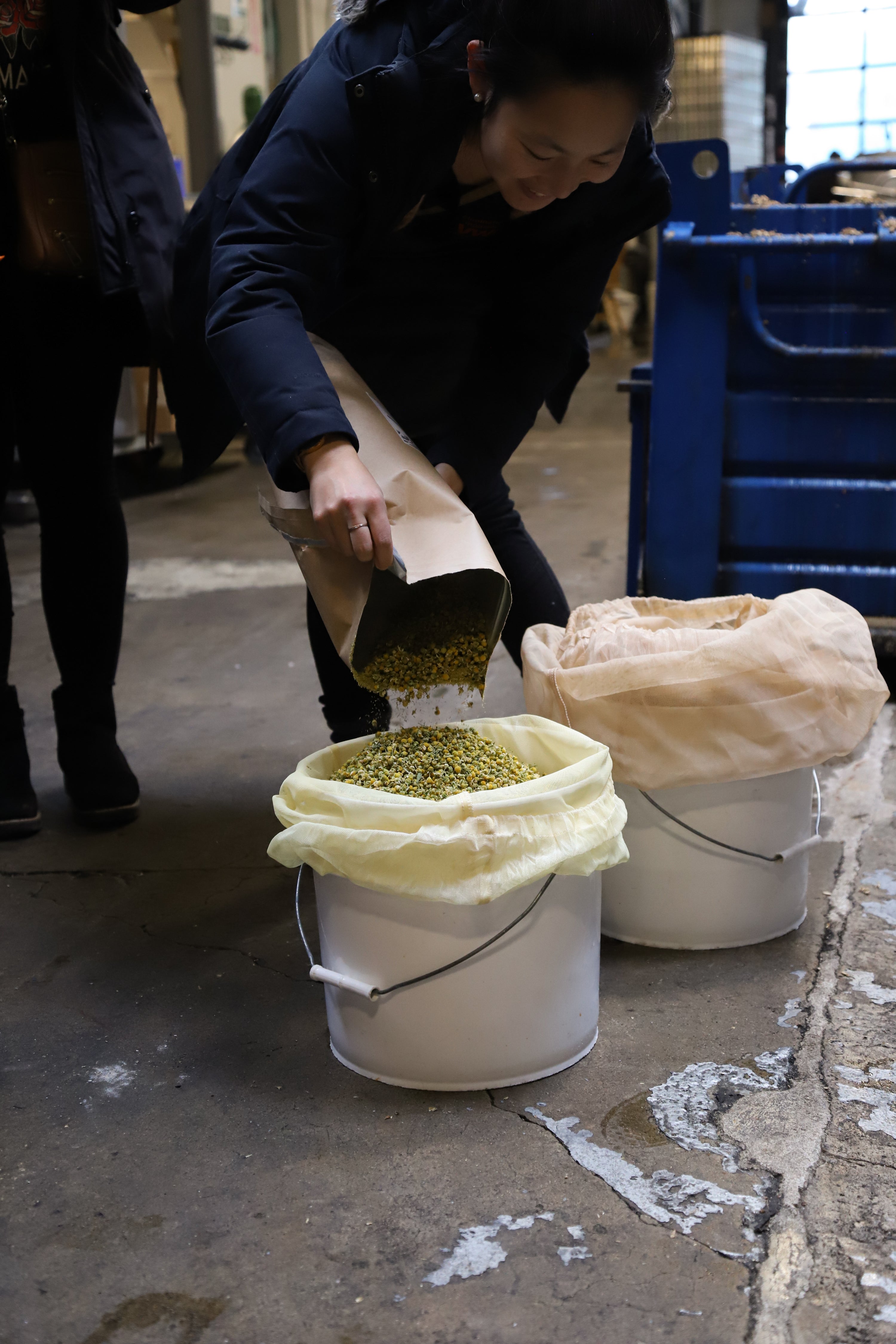 YWCA Cambridge x Lamplighter Launch Party